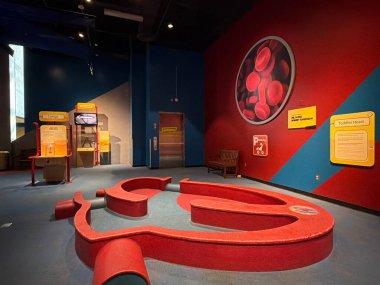 PHOENIX, AZ - NOV 26: All About Me sergisi Phoenix, Arizona 'daki Arizona Bilim Merkezi' nde, 26 Kasım 2025 'te görüldüğü gibi.