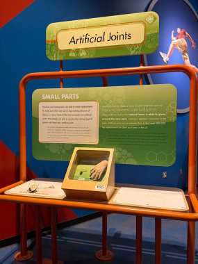 PHOENIX, AZ - NOV 26: All About Me sergisi Phoenix, Arizona 'daki Arizona Bilim Merkezi' nde, 26 Kasım 2025 'te görüldüğü gibi.