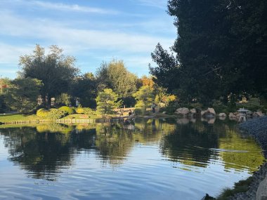 PHOENIX, AZ - 26 Kasım 2025 'te Arizona' da Japon Dostluk Bahçesi 'nde görüldü..