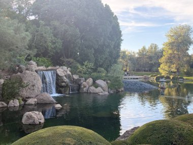 PHOENIX, AZ - 26 Kasım 2025 'te Arizona' da Japon Dostluk Bahçesi 'nde görüldü..