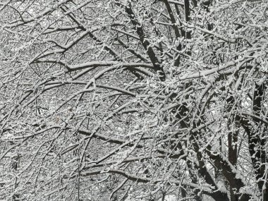 Connecticut 'ta kar ABD' de