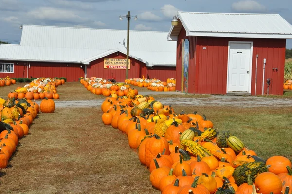 Roba Family Farms in North Abington Township in Pennsylvania — Stock Photo, Image