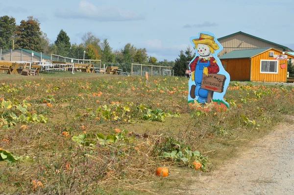 Roba Family Farms in North Abington Township in Pennsylvania — Stock Photo, Image