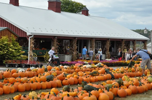 Roba Family Farms in North Abington Township in Pennsylvania — Stock Photo, Image