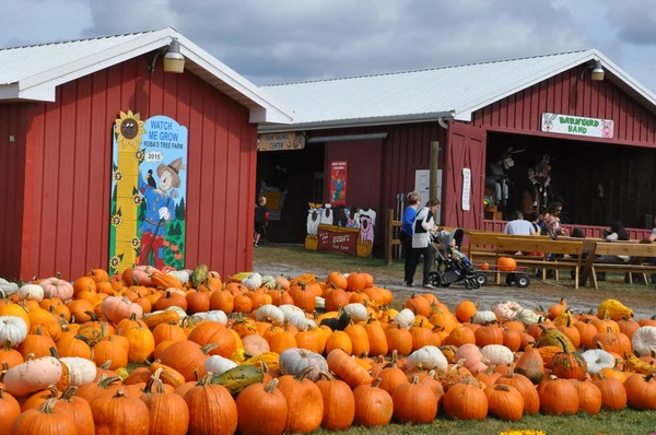 Roba Family Farms in North Abington Township in Pennsylvania — Stock Photo, Image