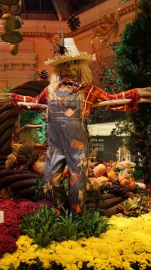 Sonbahar sezonu dekor, Bellagio Hotel kış bahçesi ve Botanik Bahçeleri Las Vegas