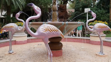 Flamingo hotel ve casino las vegas