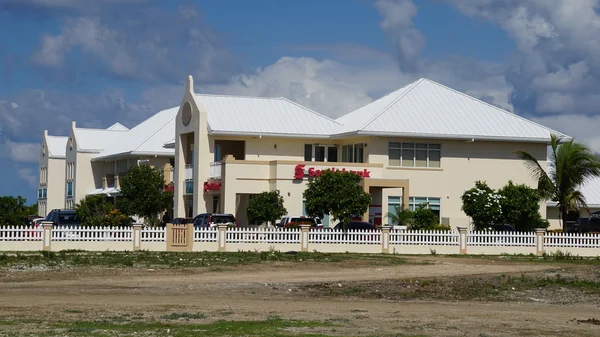 Grand Turk Turks Caicos Lis Cockburn Town Grand Turk Turks — Zdjęcie stockowe