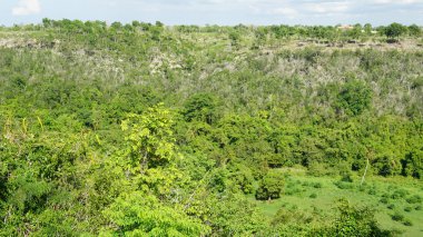 Dominik Cumhuriyeti 'ndeki Altos de Chavon Köyü' nden görüntü