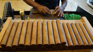 Cigar Factory in La Romana, Dominican Republic clipart