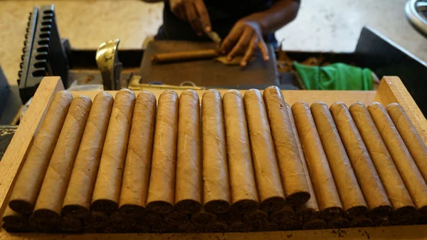 Cigarrfabrik i La Romana, Dominikanska Republiken — Stockfoto