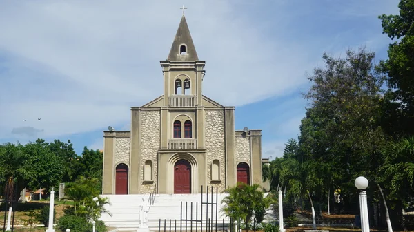 Cattedrale di Santa Rosa de Lima nella Repubblica Dominicana — Foto Stock