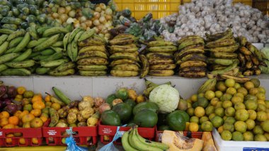 WILLEMSTAD, CURACAO - 25 Kasım 2016 'da Hollanda' nın Curacao bölgesindeki Willemstad civarında, Karayipler 'de görüldü..