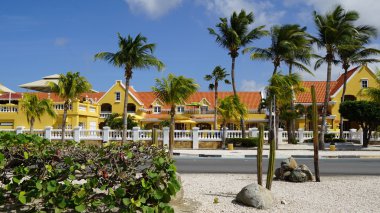 Aruba görünümünü