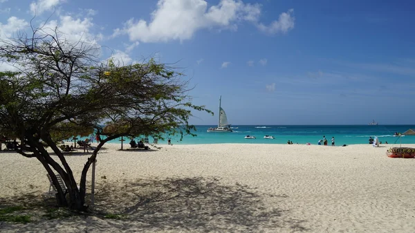 Eagle Beach in Aruba — Stock Photo, Image