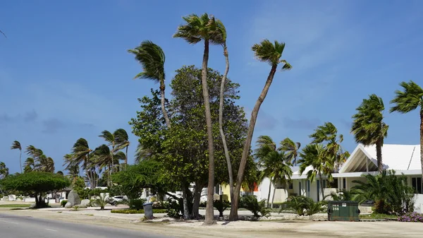 Utsikt över Aruba — Stockfoto