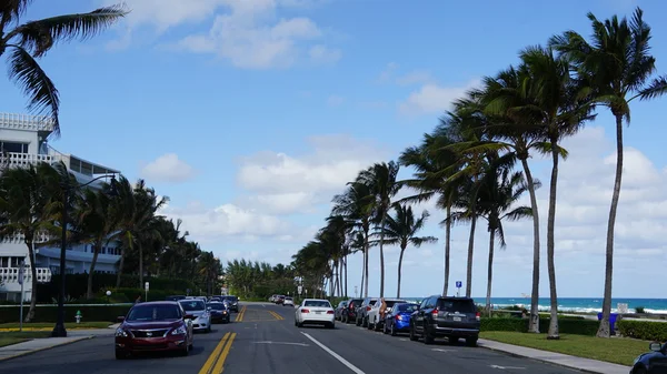 Palmenstrand in Florida — Stockfoto