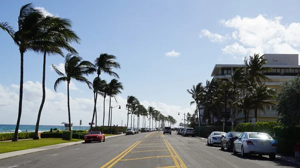 Palm beach Florida — Stok fotoğraf