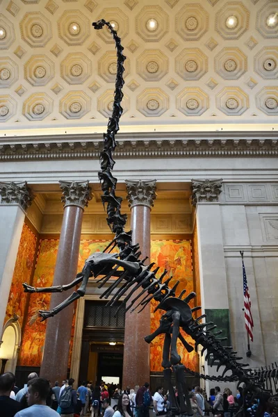 Entrada al famoso Museo Americano de Historia Natural — Foto de Stock