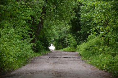 Ülke Yolu