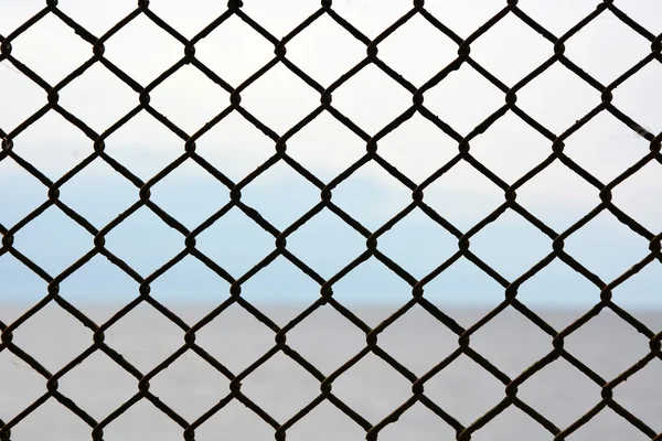 Metal grid — Stock Photo, Image