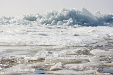 Dondurulmuş deniz kıyısında Brandası