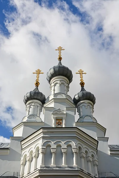 Katedralen i ikonen Vladimir — Stockfoto