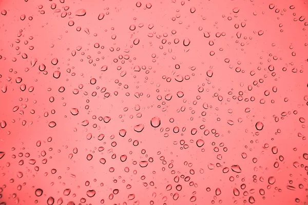 Water drops on the glass — Stock Photo, Image