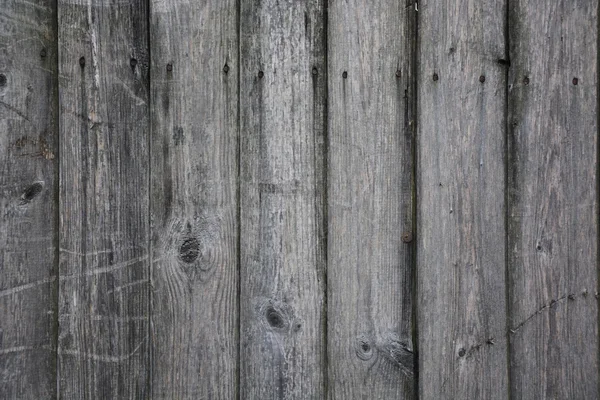 Legno grigio — Foto Stock