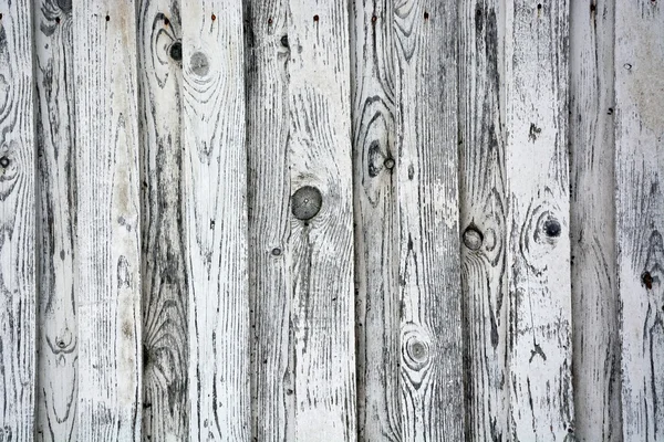 Legno bianco — Foto Stock