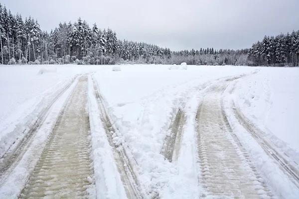 Un par de pistas de motos de nieve —  Fotos de Stock