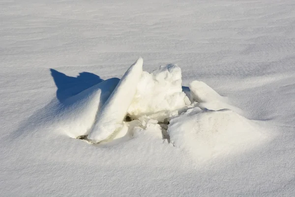 Abstrakte Eisblume — Stockfoto