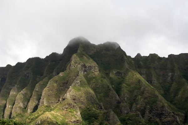 Travel to Hawaii — Stock Photo, Image