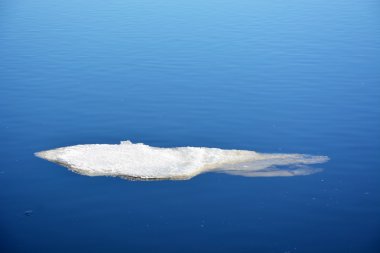 Yüzen buz ile su arka plan