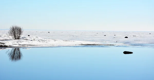 Rivière de source avec arbre et reflets — Photo