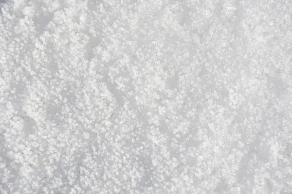 Snow surface at sunny day — Stock Photo, Image