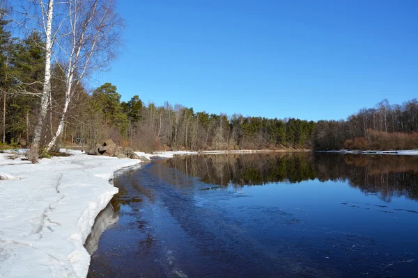 Rivière printanière avec différents arbres — Photo