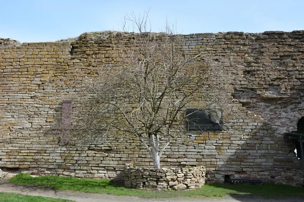 Memorial for Alexander Ilyich Ulyanov at the Oreshek fortress in Shlisselburg city — стокове фото