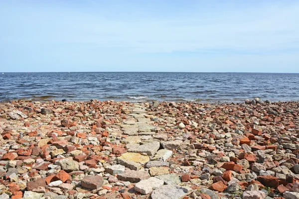 Ladoga sea shore — Stock Photo, Image