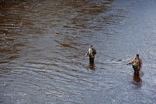 Les pêcheurs ouvrent une saison pour caresser la truite — Photo