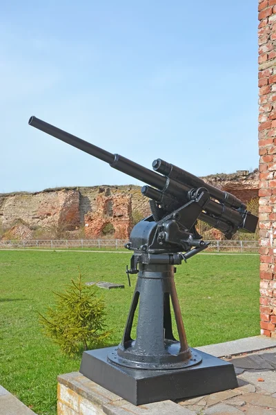 45-mm semi-automatic universal gun 21-K in Oreshek fortress — Stock Photo, Image