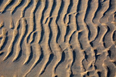 Interesting sand pattern on the beach