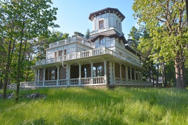 Lüks vintage cottage adlı Zelenogorsk