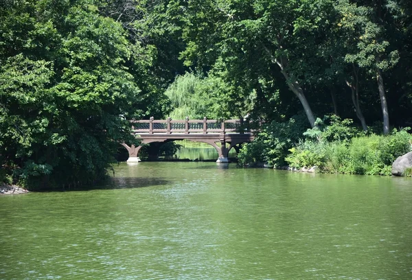 Puente en el parque central, NY — Foto de Stock