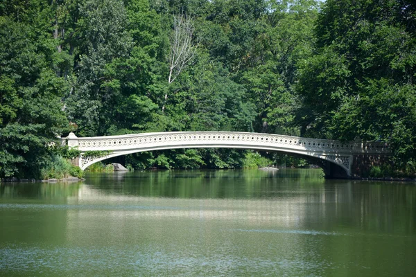 Bridge in central park, NY — Stock Photo, Image