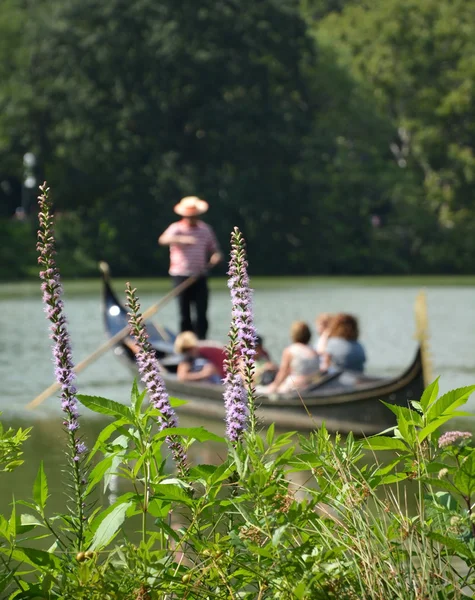 Envios de flores en Central park lake — Foto de Stock