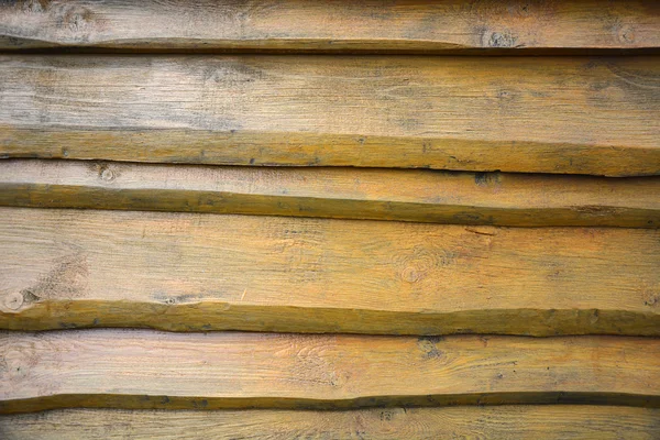 Texture en bois gros plan — Photo