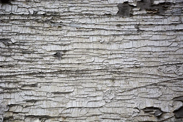 Rusty white painted background — Stock Photo, Image