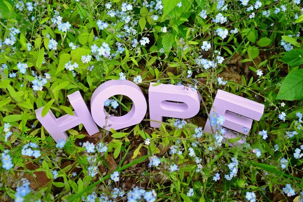 Hope and Forget-Me-Nots — стоковое фото