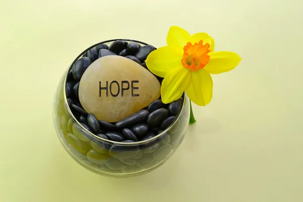 Sarı nergis ve Word umut